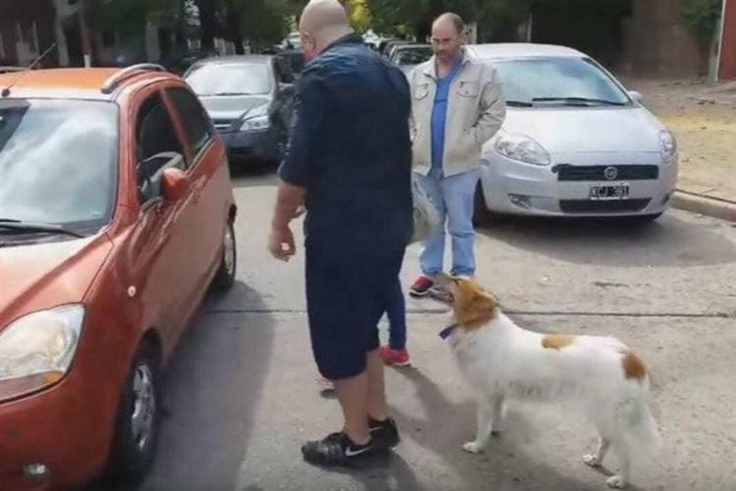 Estas mulheres são humilhadas em plena rua quando são apanhadas a abandonar um cão